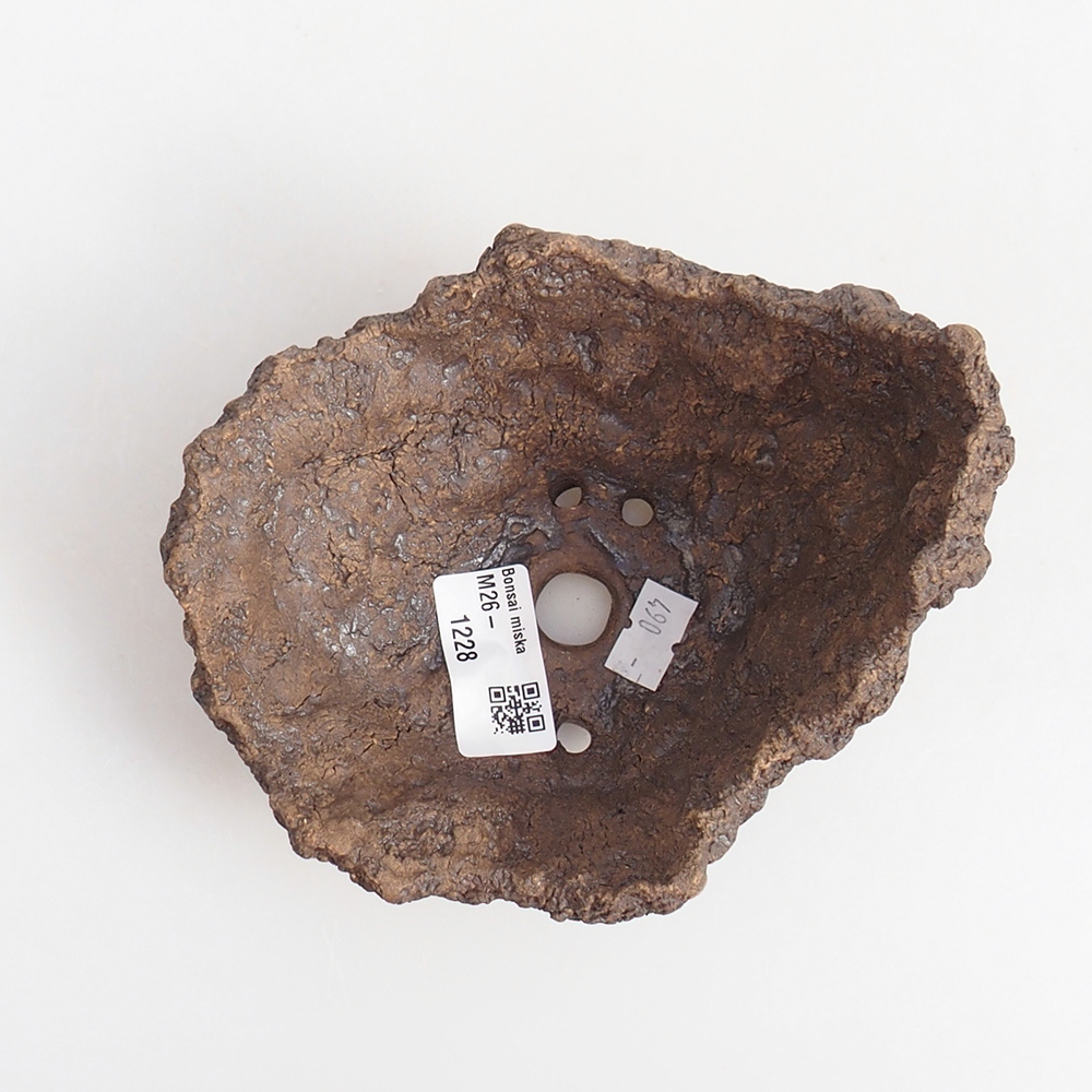 Ceramiczna muszla 13 x 11 x 11 cm, kolor brązowy