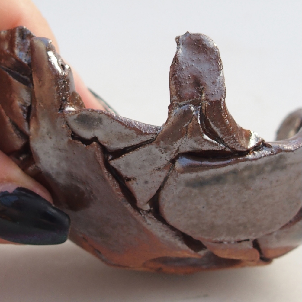 Ceramiczna muszla 9 x 8 x 5 cm, kolor brązowy