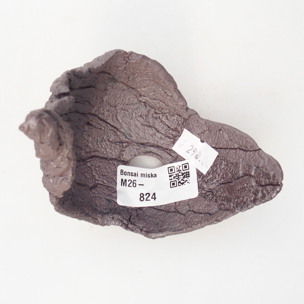 Muszla ceramiczna 9,5 x 8 x 11,5 cm, kolor metaliczny