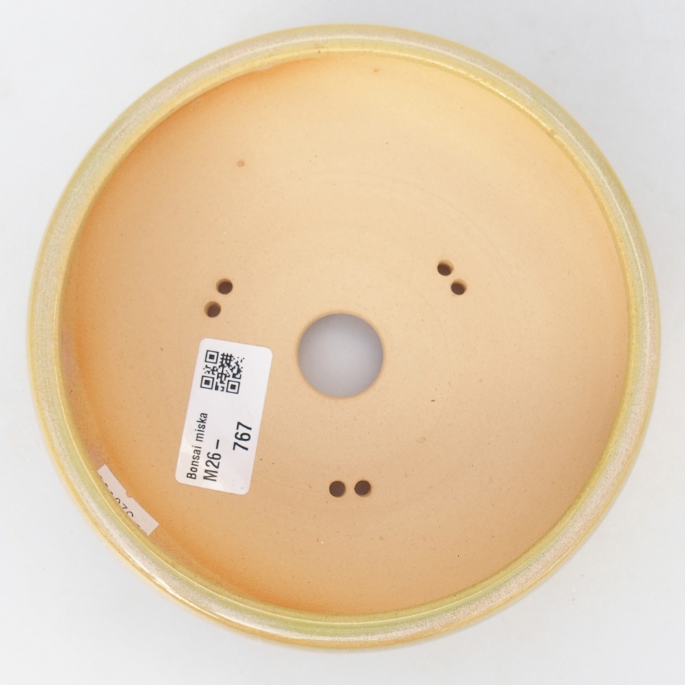 Ceramiczna miska do bonsai 15 x 15 x 5,5 cm, żółto-zielona