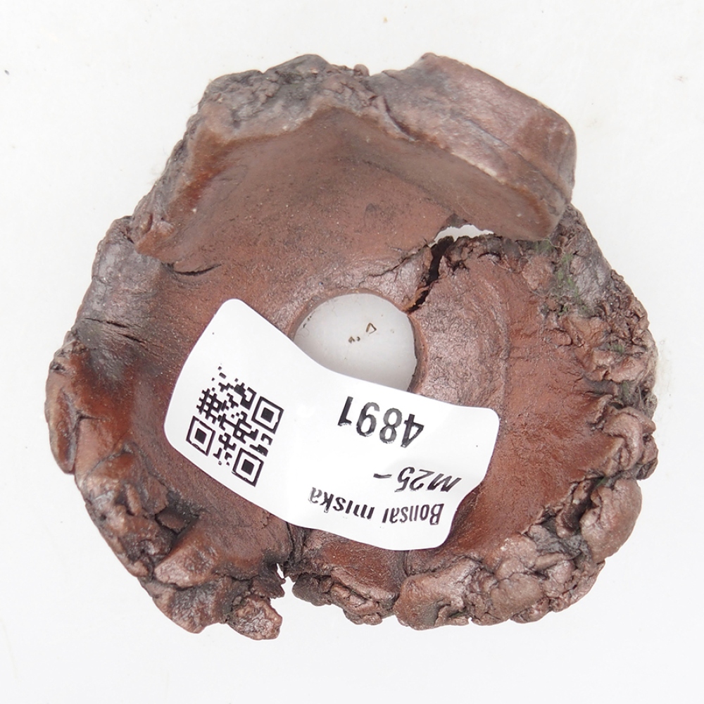 Muszla ceramiczna 6 x 6 x 4 cm, kolor brązowy
