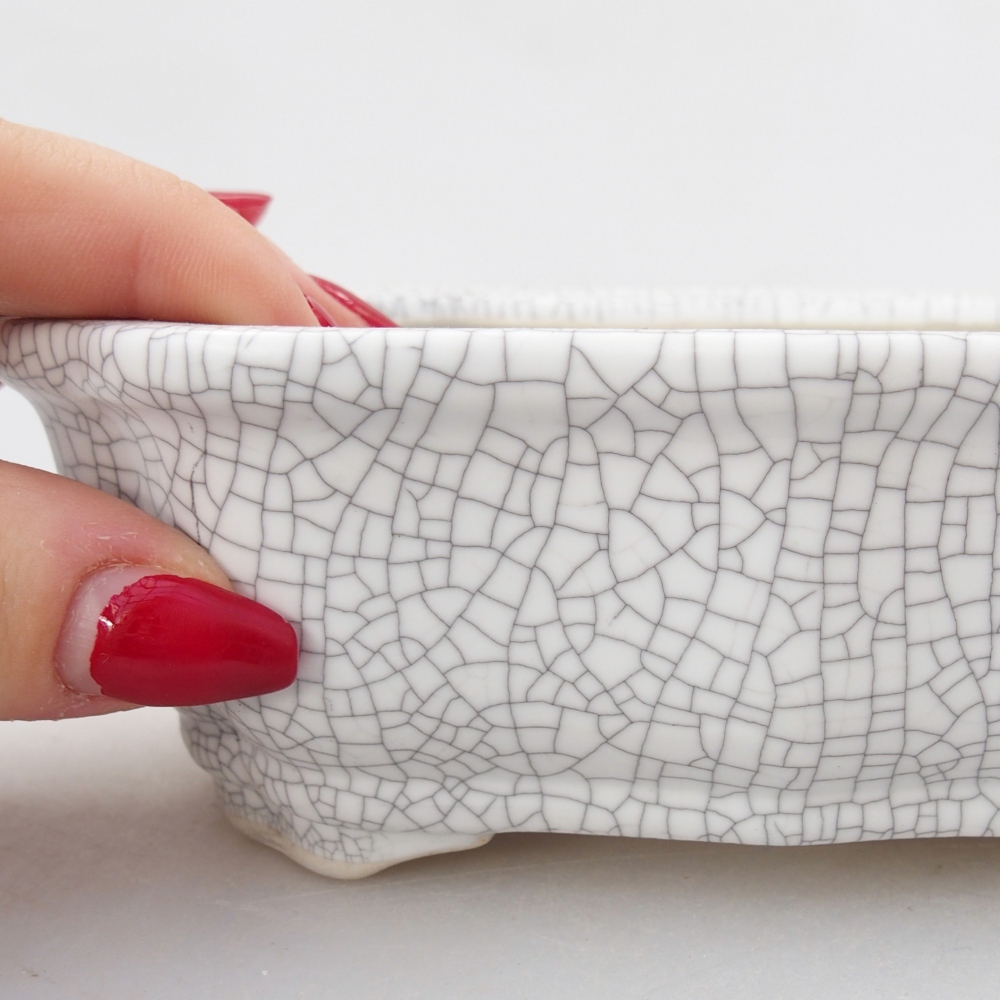 Miska 26 x 21 x 6,5 cm niebiesko-zielona