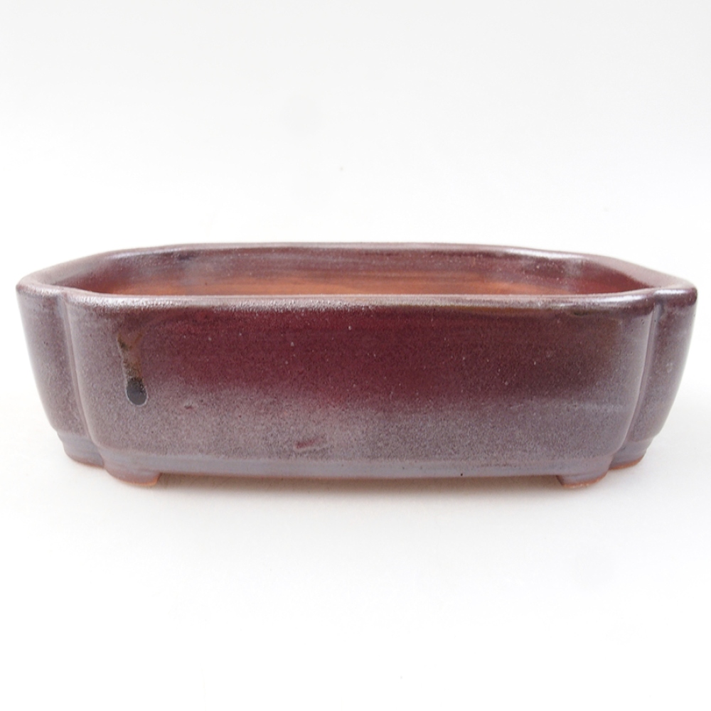 Ceramiczna miska bonsai 15 x 11,5 x 4,5 cm, kolor brązowy