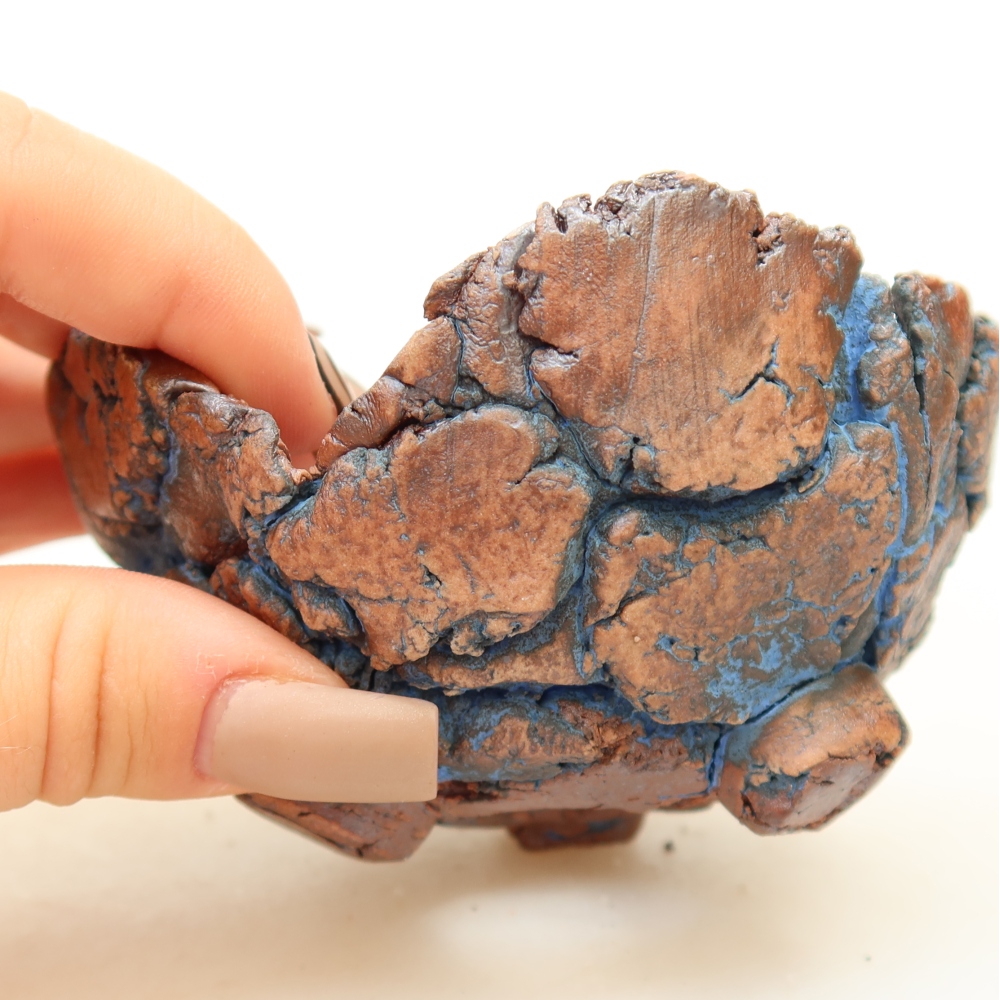 Ceramiczna skorupka 9 x 8,5 x 5 cm, kolor niebieski