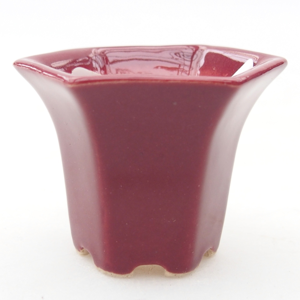 Mini miska do bonsai 4 x 4 x 3,5 cm, bordowa