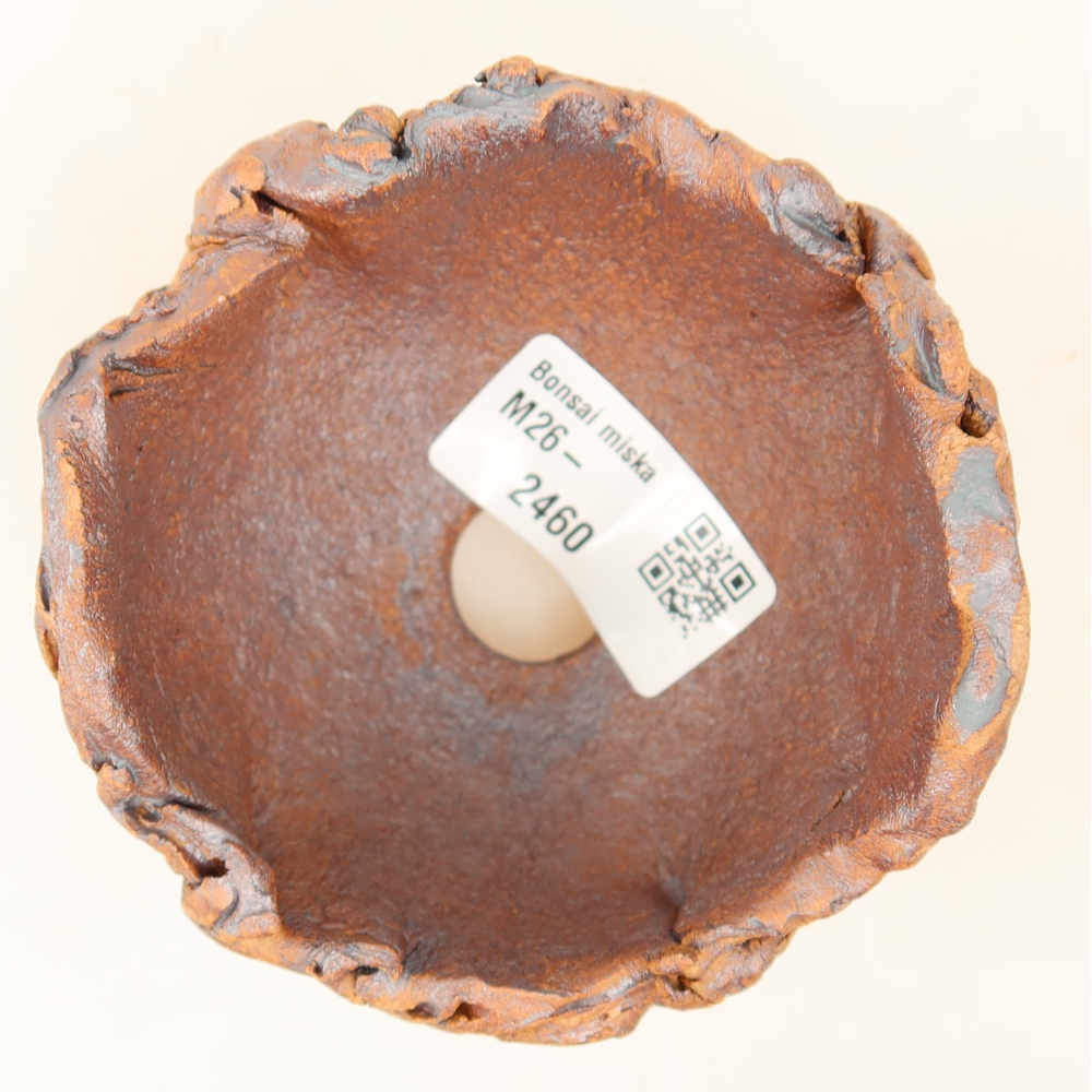 Muszla ceramiczna 9 x 8,5 x 6 cm, kolor brązowy