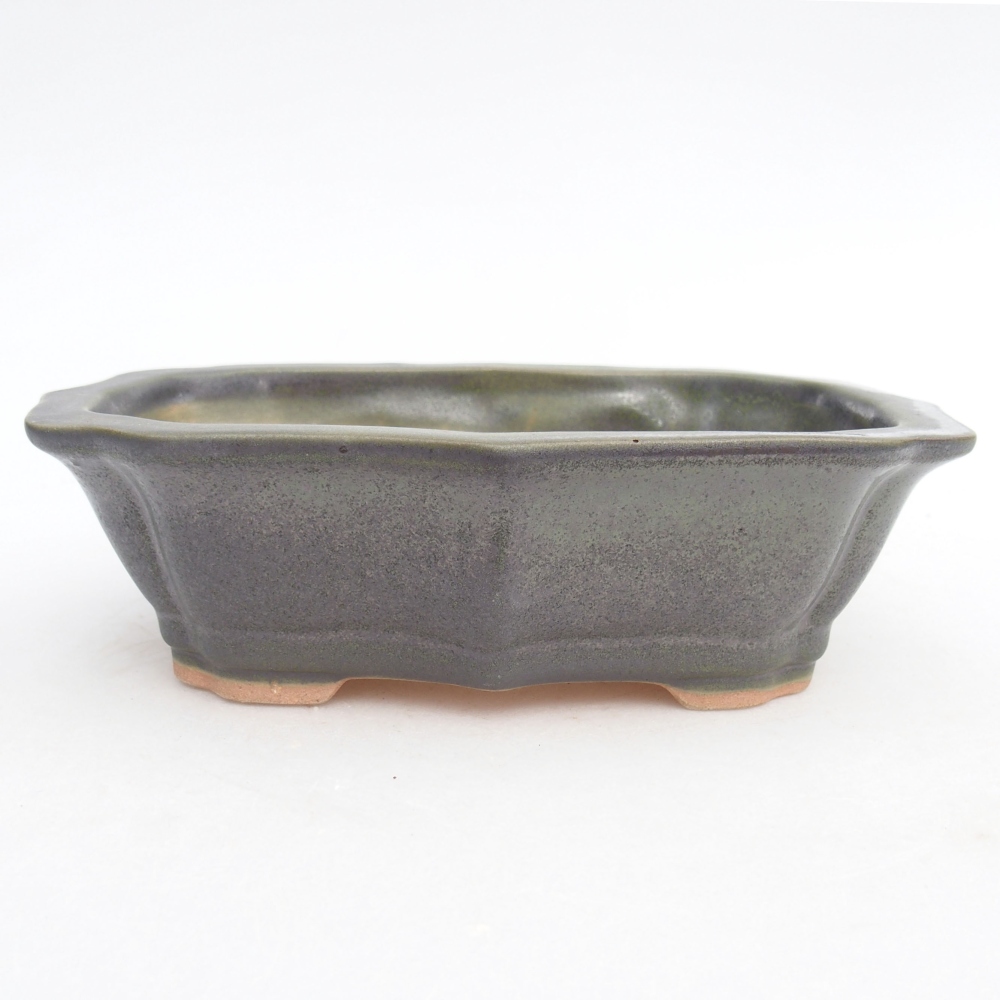 Ceramiczna miska bonsai 15,5 x 11,5 x 4,5 cm, kolor zieloiny