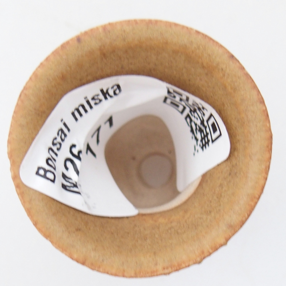 Mini miska do bonsai 3 x 3 x 3,5 cm, brązowa