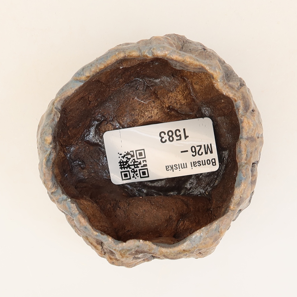 Ceramiczna skorupka  6 x 5,5 x 5 cm, kolor niebieski