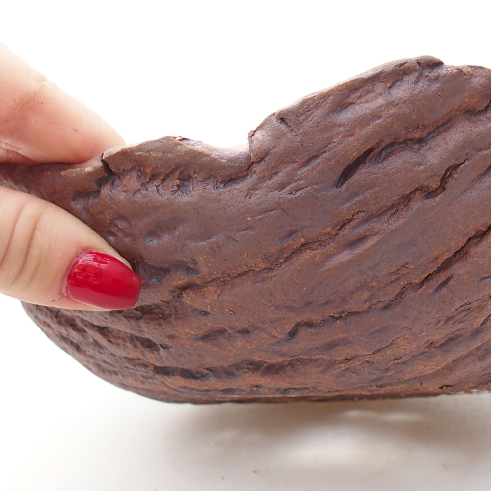 Ceramiczna skorupa 19 x 17 x 7 cm, kolor brązowy