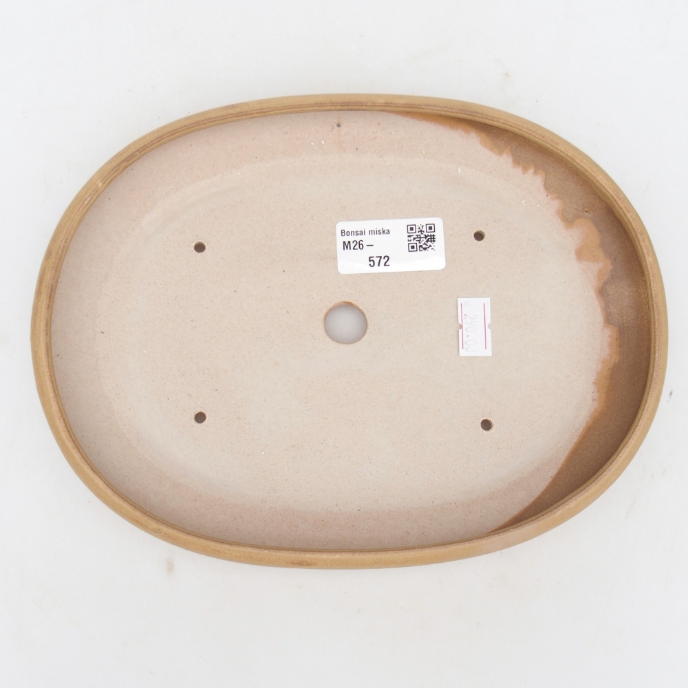 Ceramiczna miska do bonsai 22 x 17 x 3 cm, kolor beżowy
