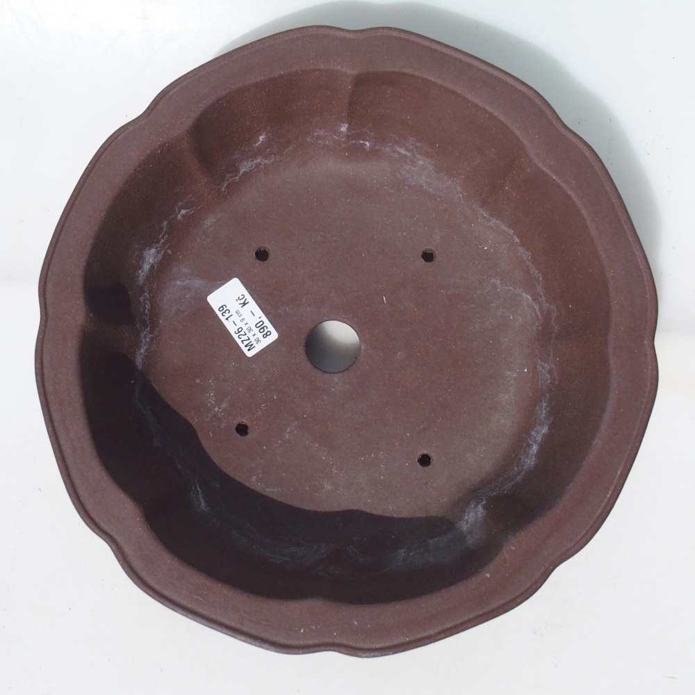 Misa bonsai 30 x 30 x 9 cm brzoza brązowa