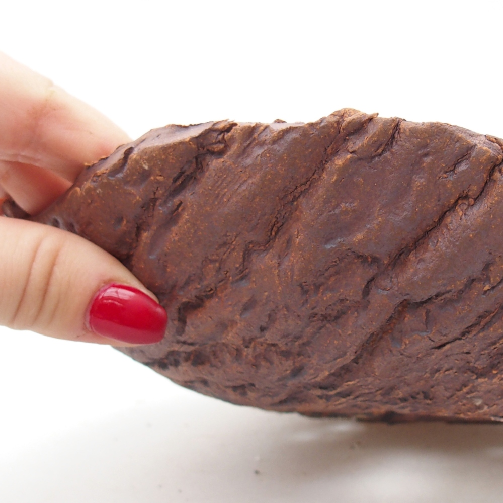 Ceramiczna skorupa 19 x 17 x 5 cm, kolor brązowy