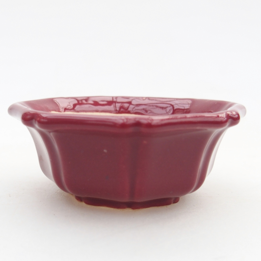 Mini miska do bonsai 6 x 6 x 2,5 cm, bordowa