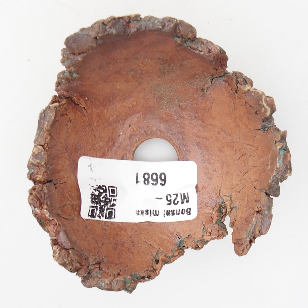 Ceramiczna muszla 7,5 x 7 x 4 cm, kolor zielony