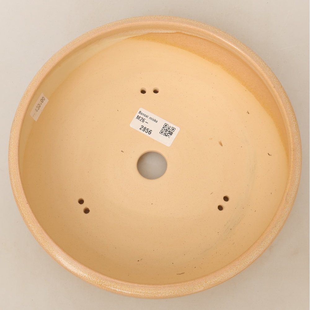 Ceramiczna miska do bonsai 22,5 x 22,5 x 6,5 cm, kolor beżowy