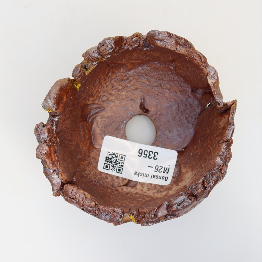Muszla ceramiczna 9 x 8 x 6 cm, żółta