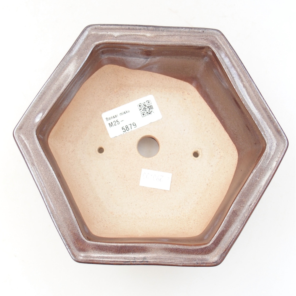 Ceramiczna miska bonsai 17 x 15 x 6 cm, kolor brązowy