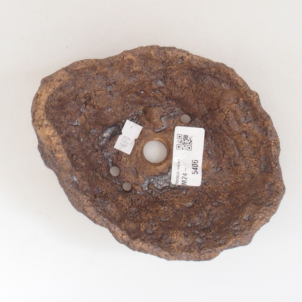 Muszla ceramiczna 12,5 x 11 x 11,5 cm, kolor brązowy