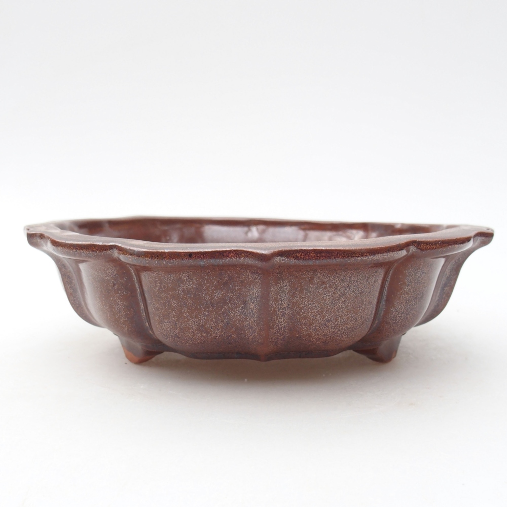Ceramiczna miska bonsai 18,5 x 18,5 x 5 cm, kolor brązowy