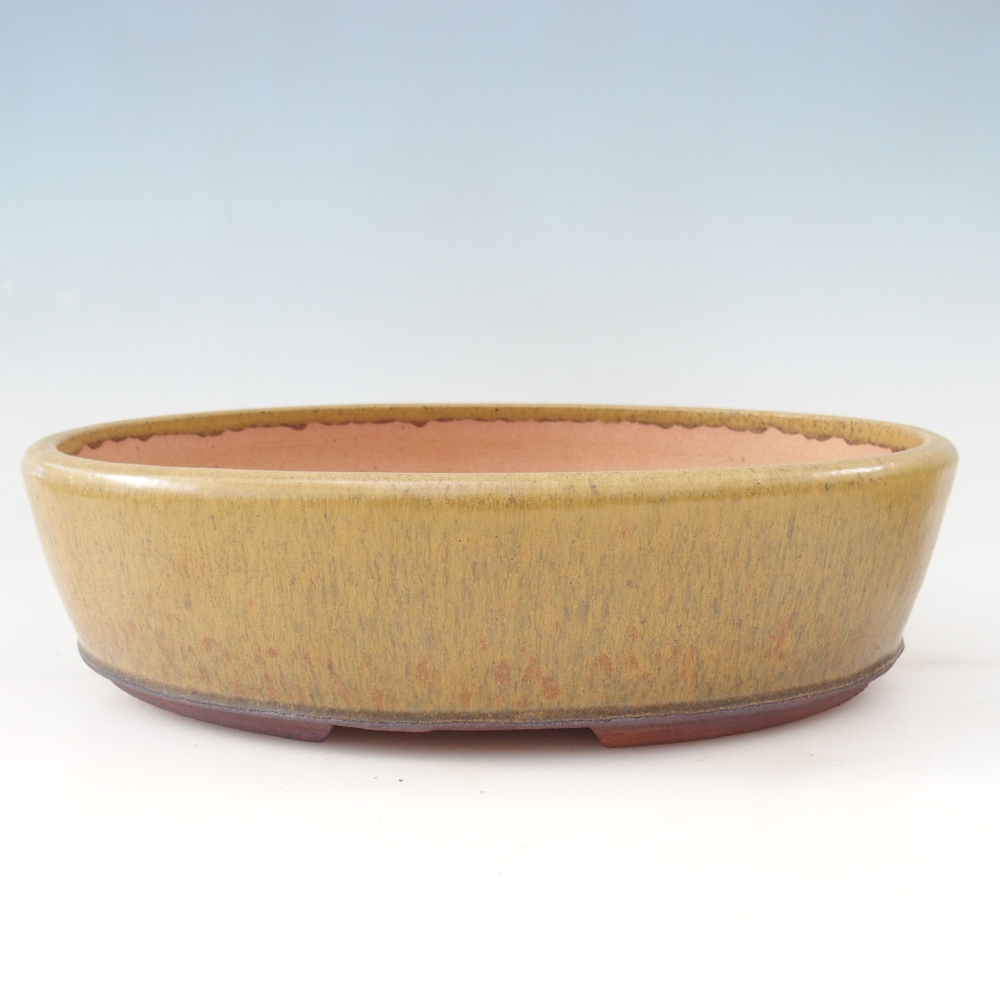 Misa do bonsai 33 x 25 x 8,5 cm, kolor żółty