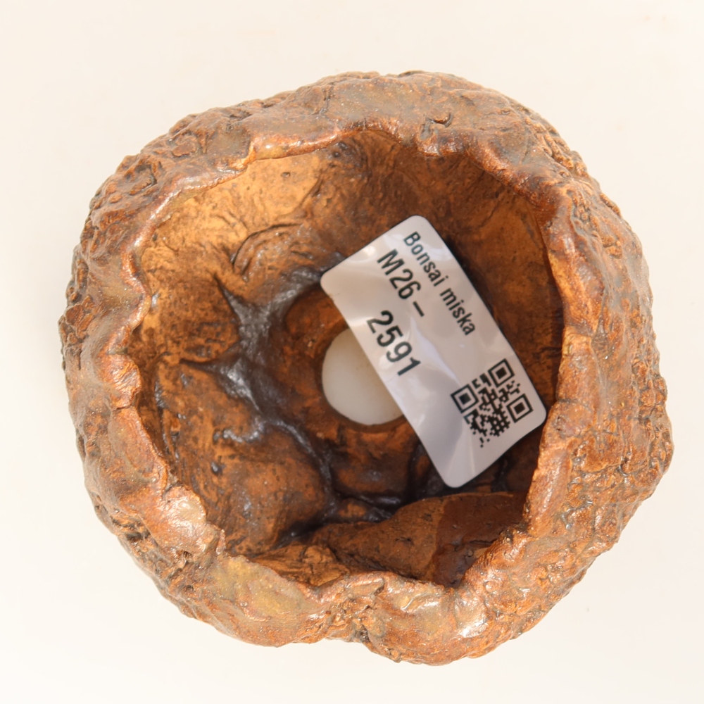 Ceramiczna skorupa  7 x 7 x 5,5 cm, kolor brązowy
