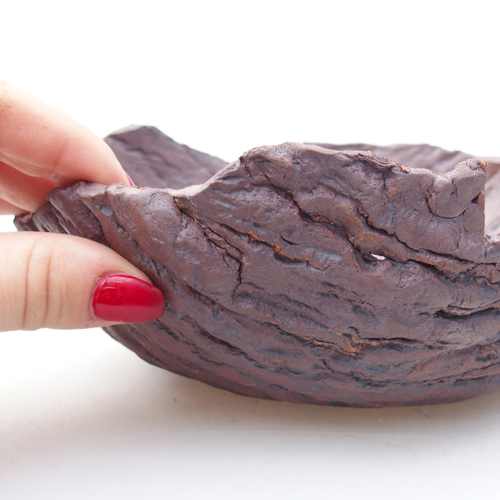 Ceramiczna skorupa 19 x 17 x 7 cm, kolor brązowy