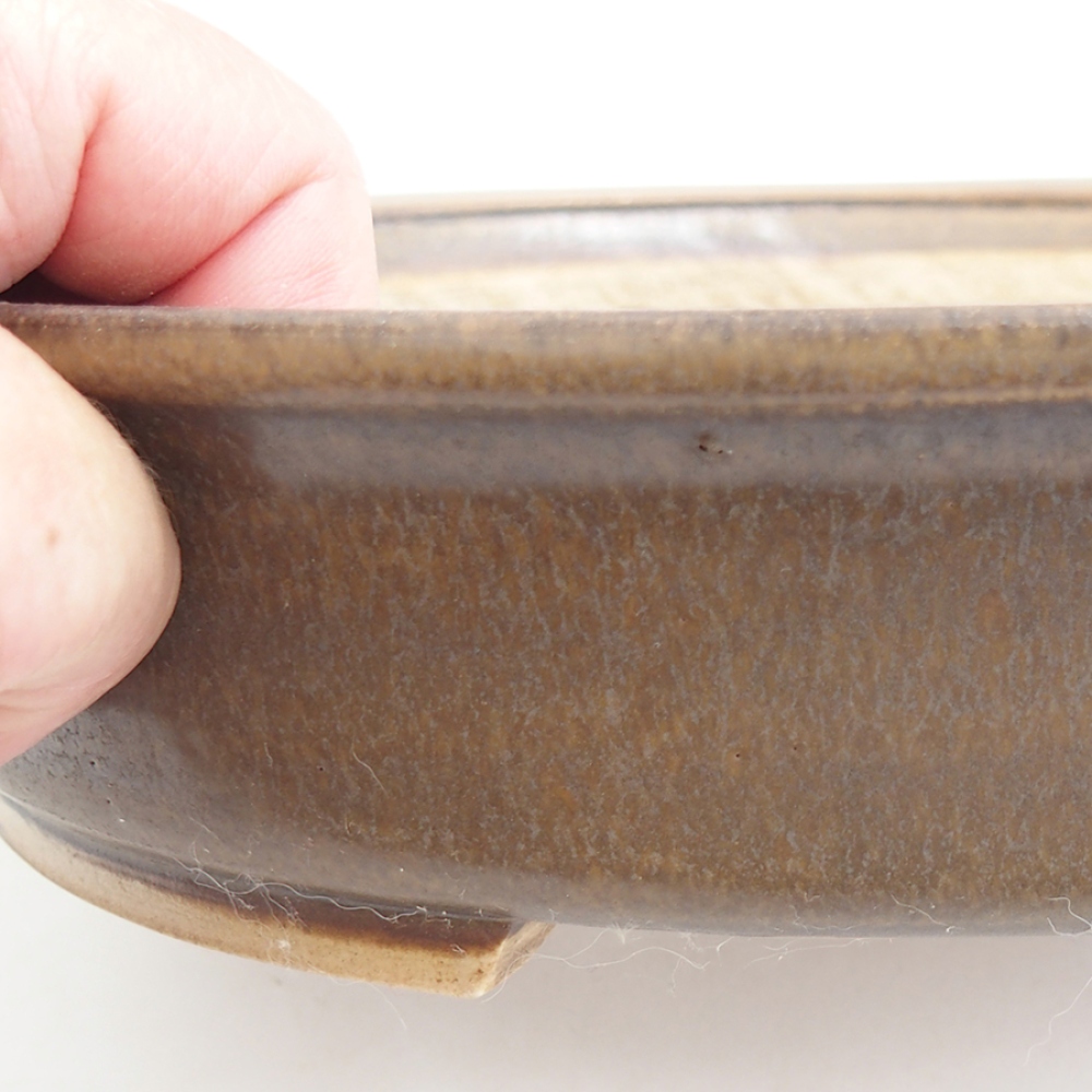 Ceramiczna miska do bonsai 25,5 x 23 x 5,5 cm, brązowa