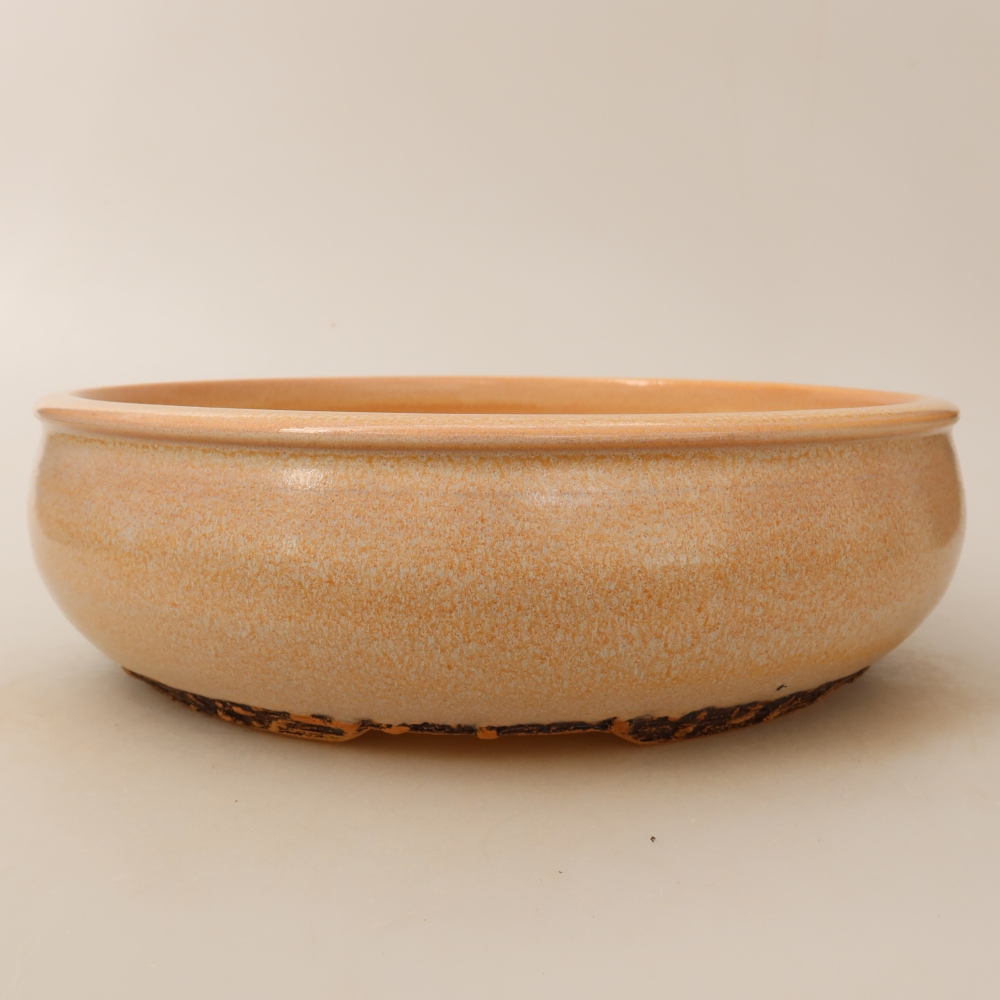 Ceramiczna miska do bonsai 24 x 24 x 7 cm, kolor beżowy