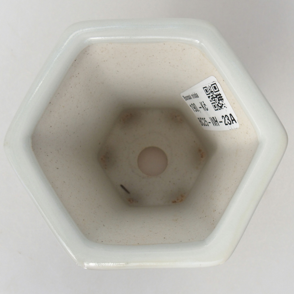 Ceramiczna miska do bonsai 10 x 9 x 9 cm, kolor biały