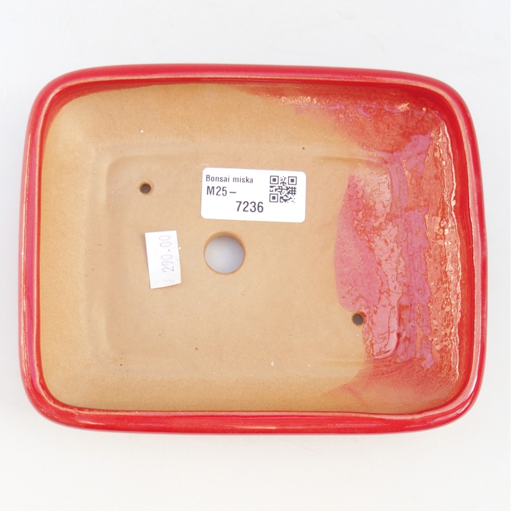 Ceramiczna miska do bonsai 16,5 x 13,5 x 3,5 cm, kolor czerwony