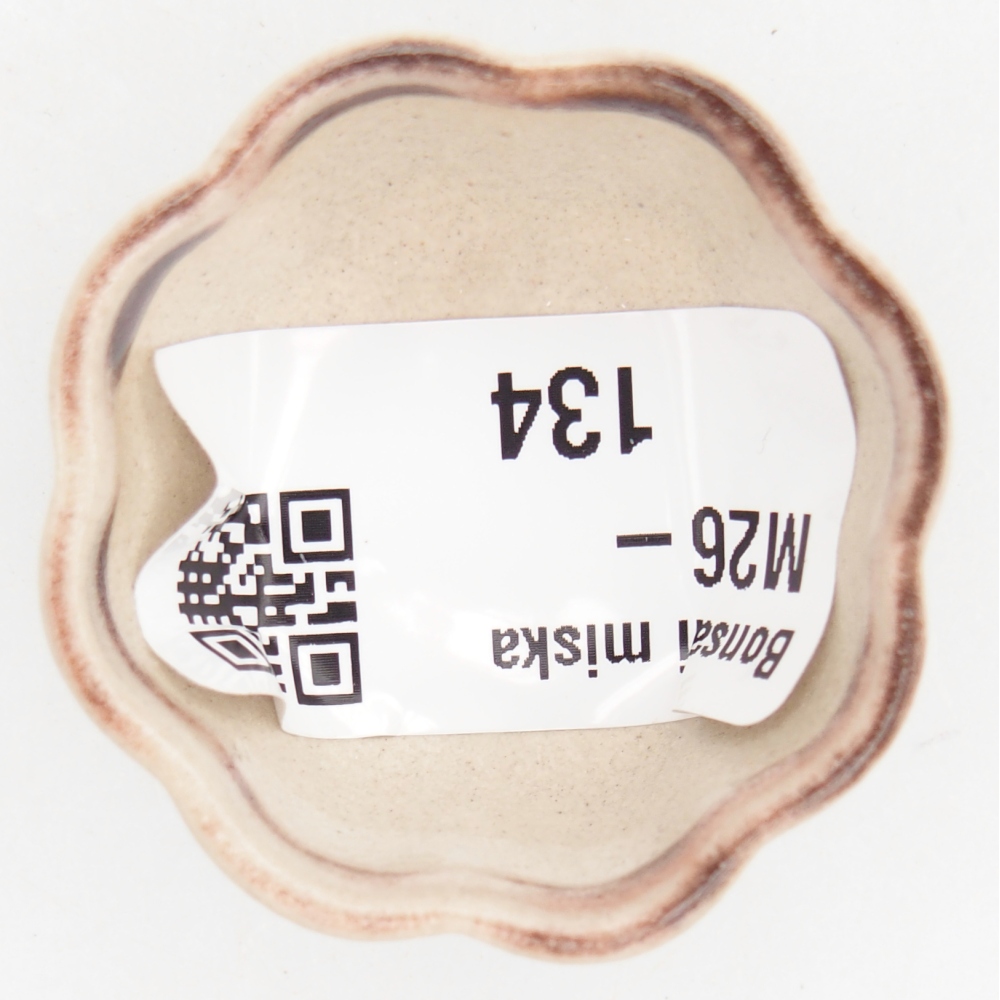 Mini miska do bonsai 4 x 4 x 2 cm, kolor czerwony