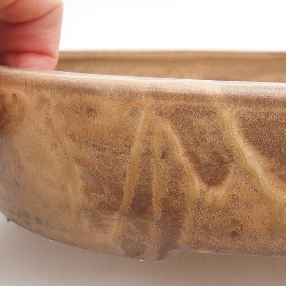 Ceramiczna miska na bonsai 26 x 20 x 5 cm, kolor beżowy