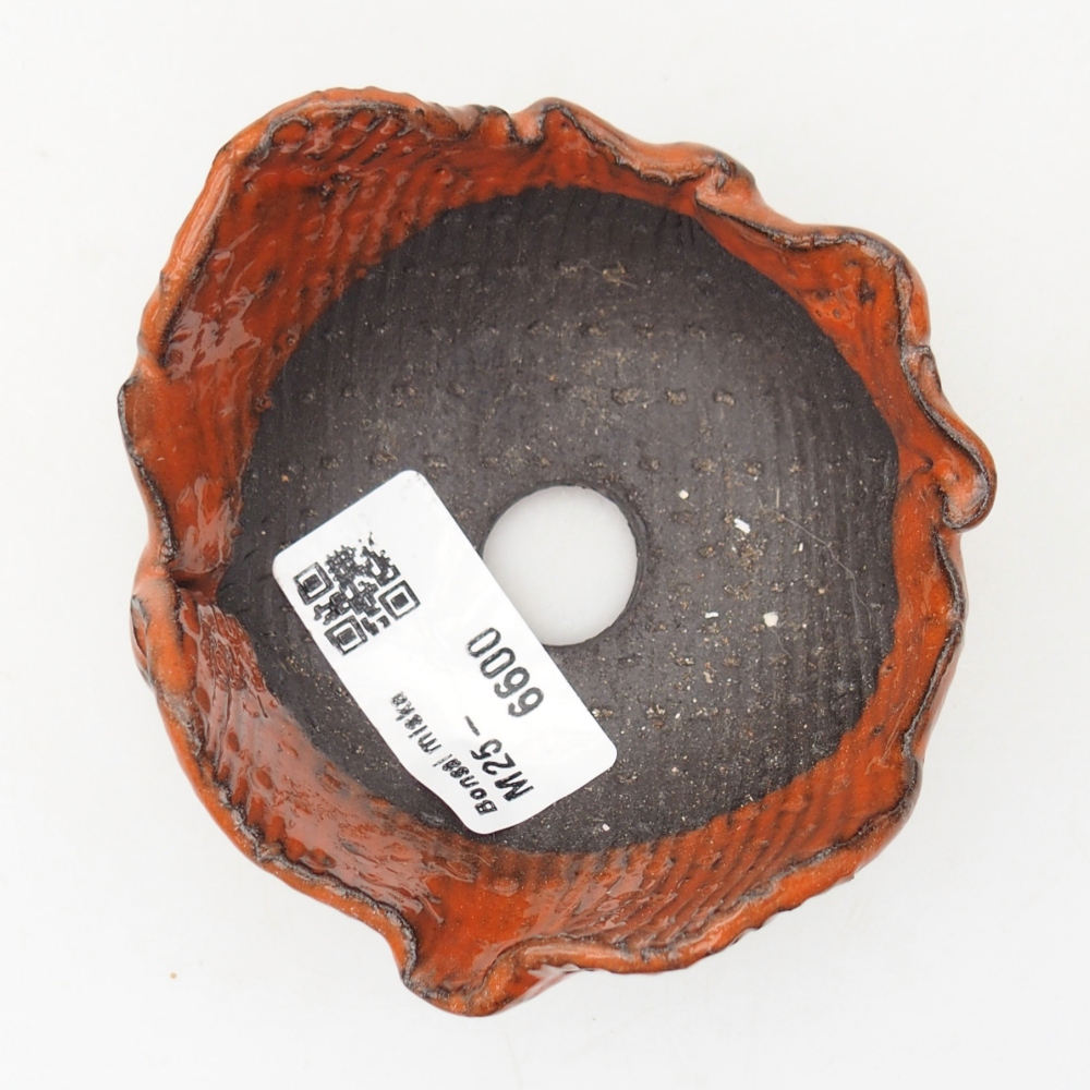 Ceramiczna skorupa 8,5 x 8,5 x 5 cm, kolor pomarańczowy
