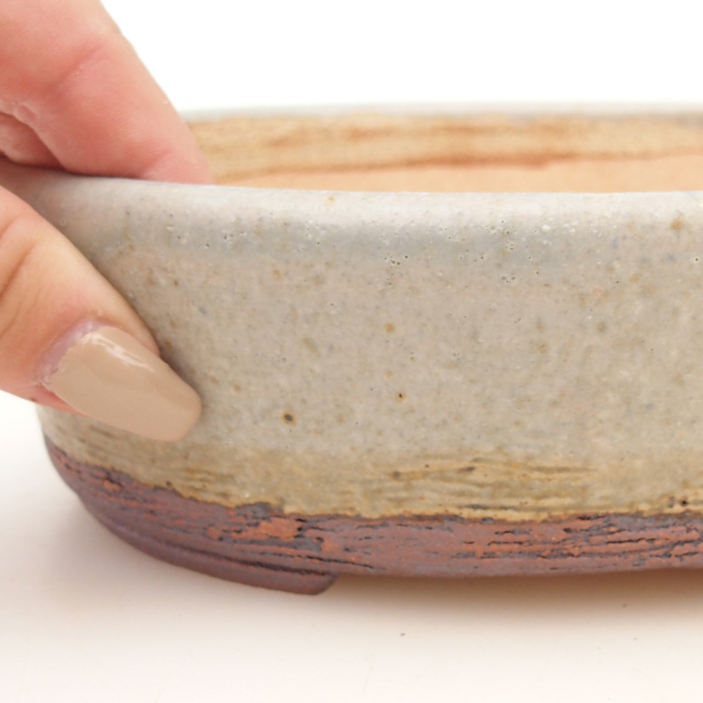 Misa do bonsai 19,5 x 15,5 x 6 cm, kolor niebieski