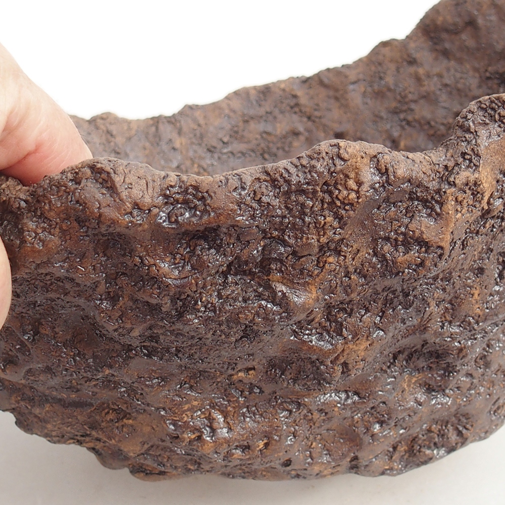 Ceramiczna skorupa 19 x 15 x 14 cm, kolor brązowy