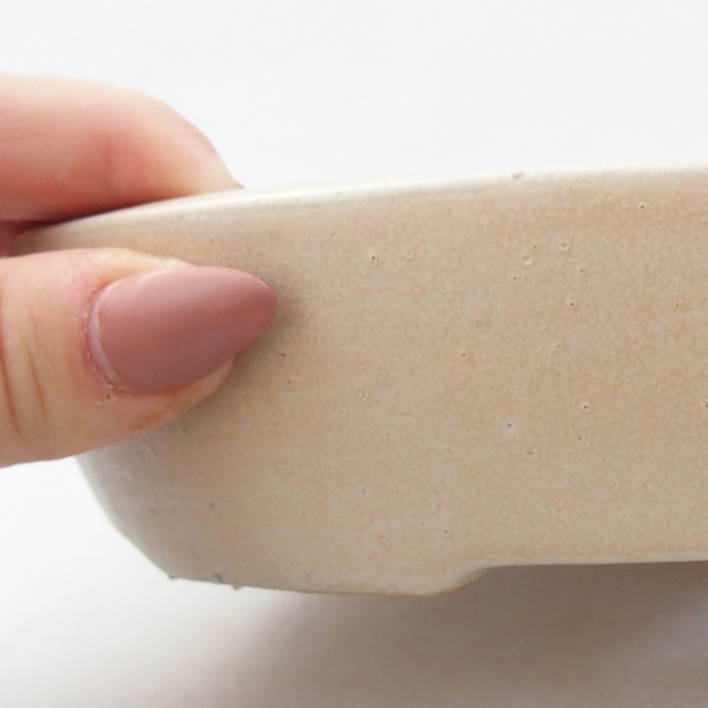 Ceramiczna miska na bonsai 22 x 16,5 x 4,5 cm, beżowa