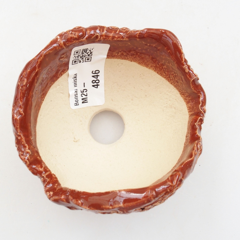 Muszla ceramiczna 8 x 7 x 6 cm, kolor brązowy