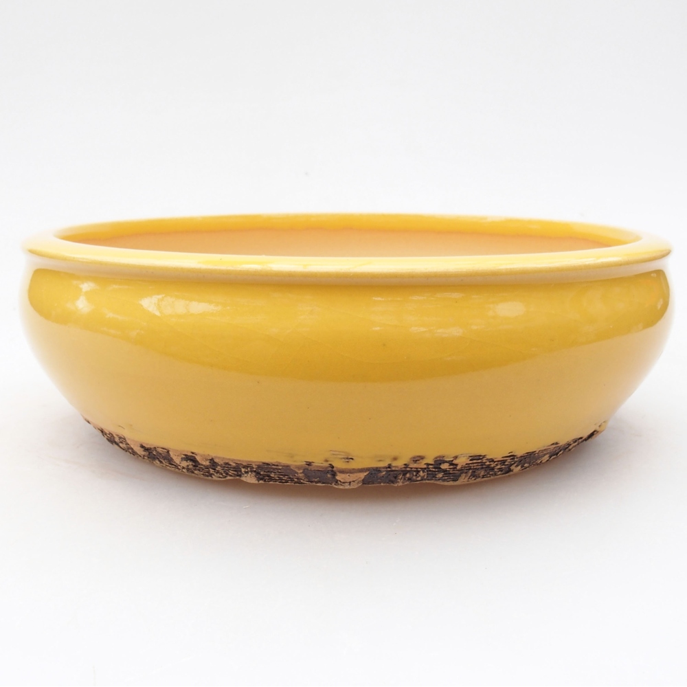 Ceramiczna miska bonsai 18 x 18 x 5,5 cm, kolor żółty