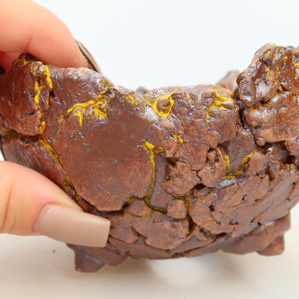 Ceramiczna skorupka  11 x 11 x 7 cm, kolor żółty
