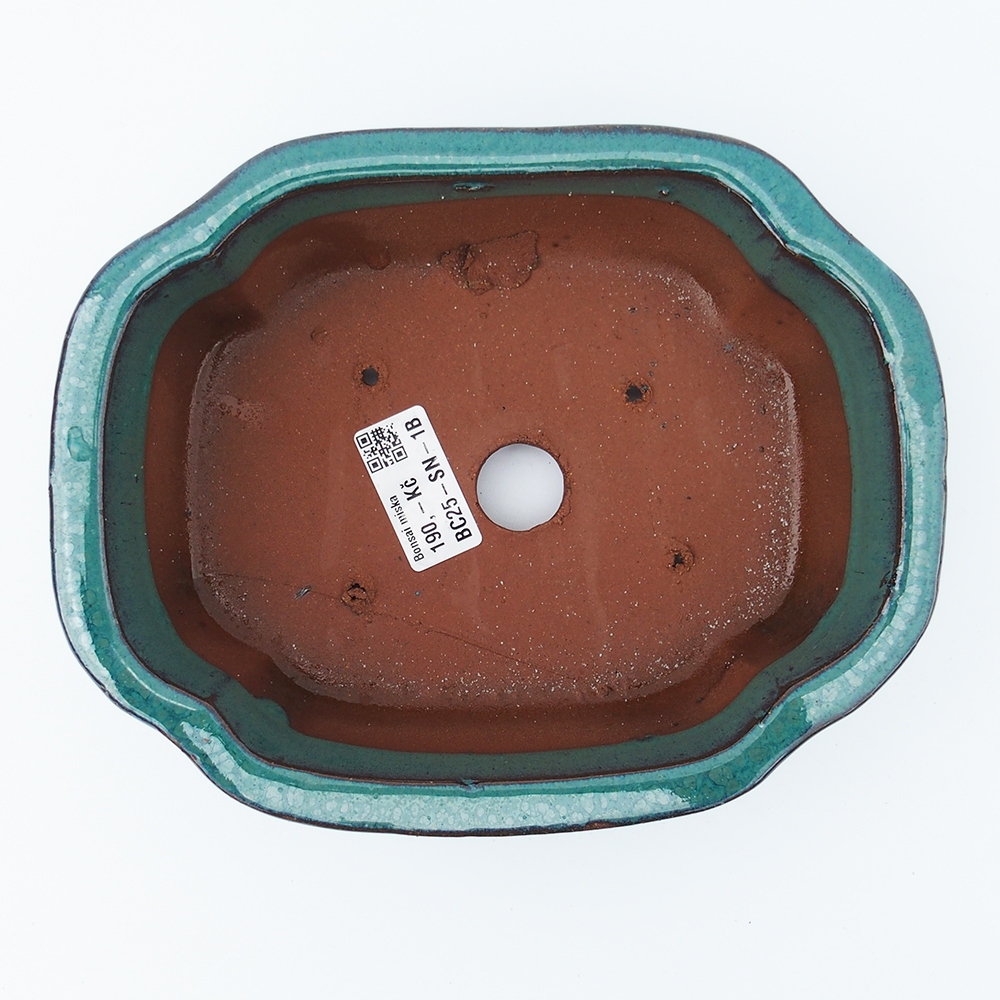 Miska 20 x 16 x 6,5 cm zielono-niebieska