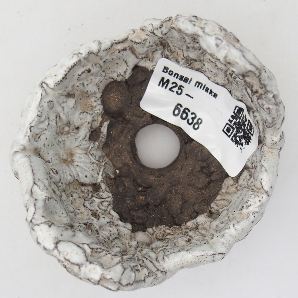 Ceramiczna muszla 7 x 6,5 x 5,5 cm, kolor biały