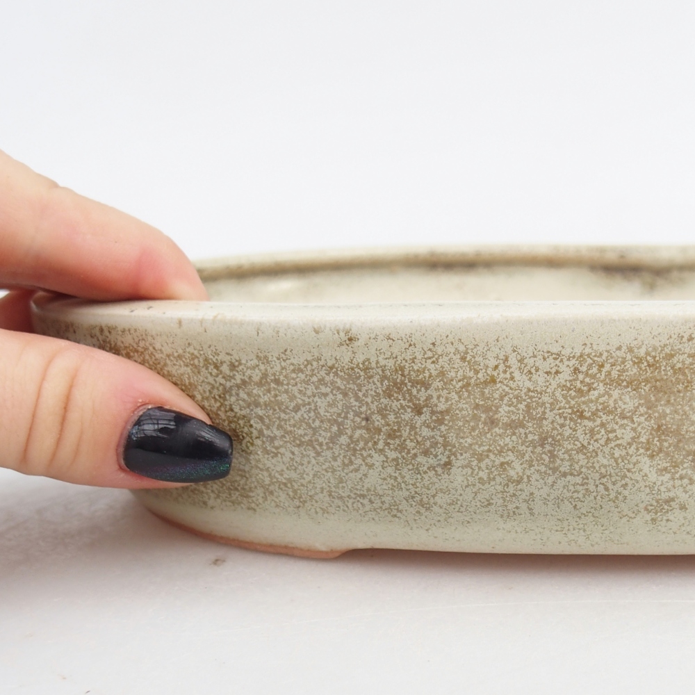 Ceramiczna miska do bonsai 22,5 x 17 x 4,5 cm, zielona