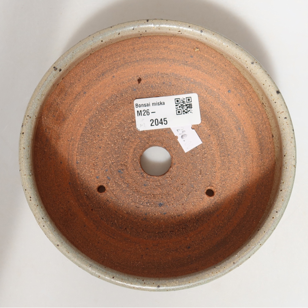 Ceramiczna miska do bonsai 14,5 x 14,5 x 5,5 cm, kolor beżowy