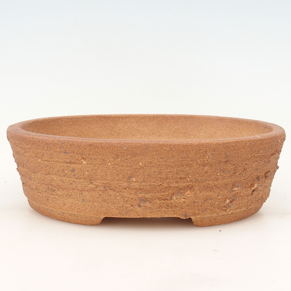 Misa do bonsai 20 x 16 x 5,5 cm, kolor brązowy