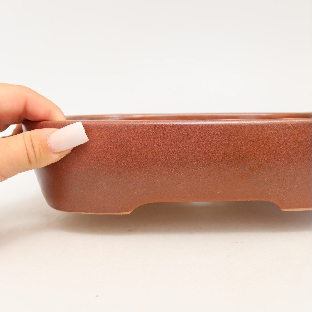 Ceramiczna miska do bonsai 23 x 18 x 5,5 cm, kolor bordowy