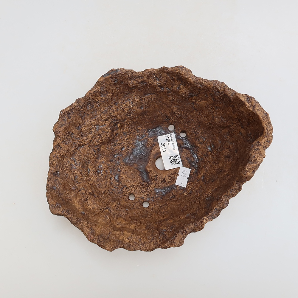 Ceramiczna skorupa 20 x 16 x 14 cm, kolor brązowy
