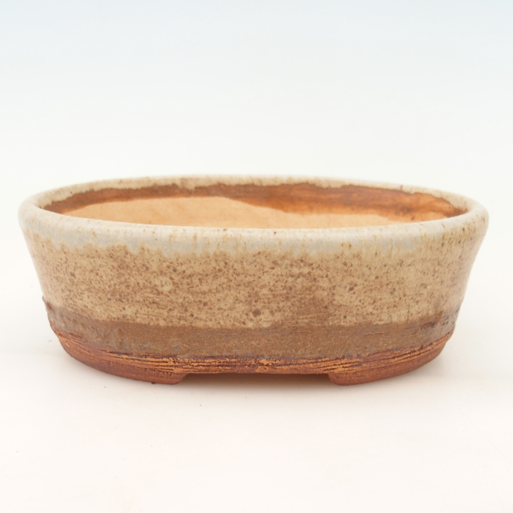 Misa do bonsai 20 x 16 x 6,5 cm, kolor beżowy