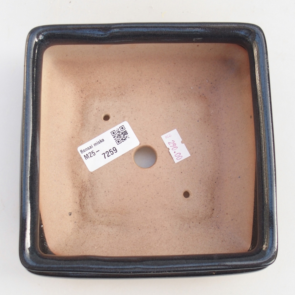 Ceramiczna miska do bonsai 15,5 x 15,5 x 6 cm, czarna