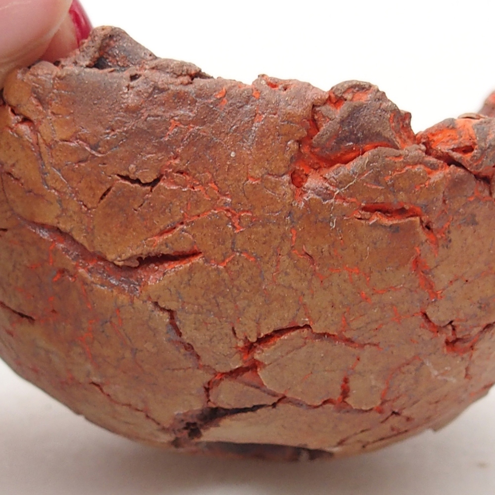Ceramiczna muszla 7 x 7 x 3,5 cm, kolor pomarańczowy